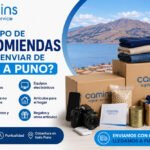 ¿Que tipo de encomiendas puedo enviar de Lima a Puno?