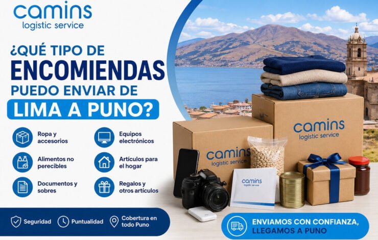 ¿Que tipo de encomiendas puedo enviar de Lima a Puno?