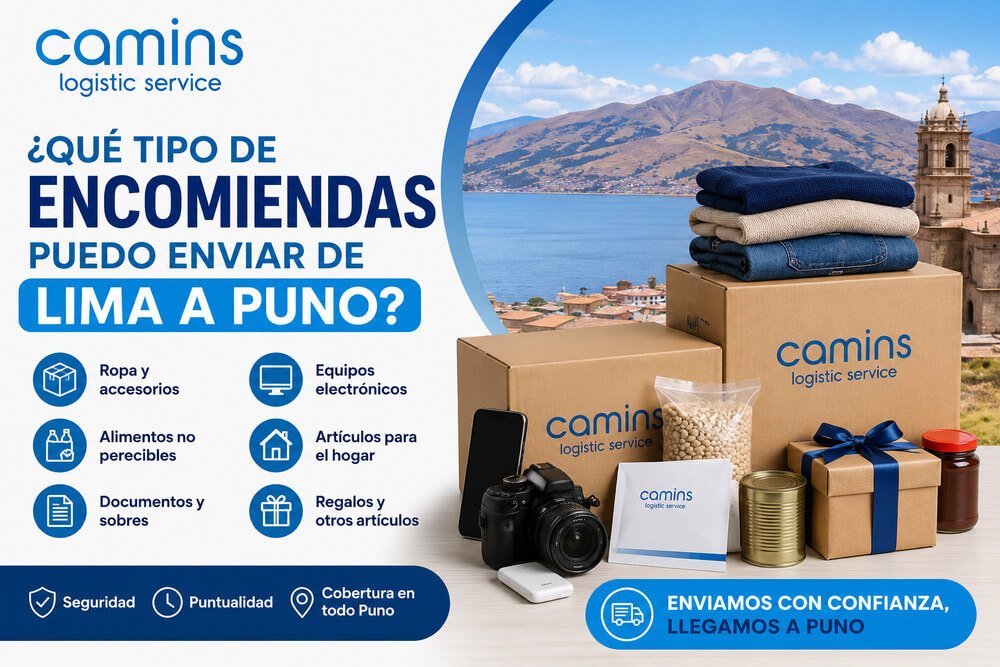 ¿Que tipo de encomiendas puedo enviar de Lima a Puno?
