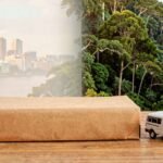 ¿Cuánto cuesta enviar una encomienda a Tarapoto desde Lima?